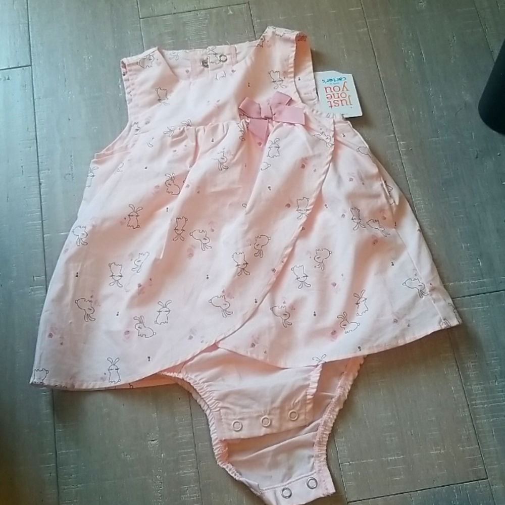 NWT Carter's 18 Month Soft Pink Dress